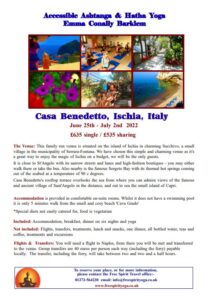 Summer beach holiday Ischia italy poster